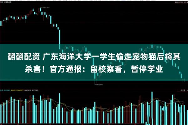 翻翻配资 广东海洋大学一学生偷走宠物猫后将其杀害！官方通报：留校察看，暂停学业
