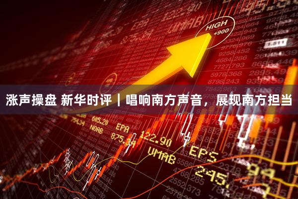 涨声操盘 新华时评｜唱响南方声音，展现南方担当