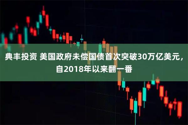 典丰投资 美国政府未偿国债首次突破30万亿美元，自2018年以来翻一番