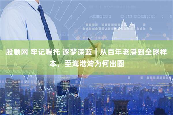 股顺网 牢记嘱托 逐梦深蓝｜从百年老港到全球样本，至海港湾为何出圈