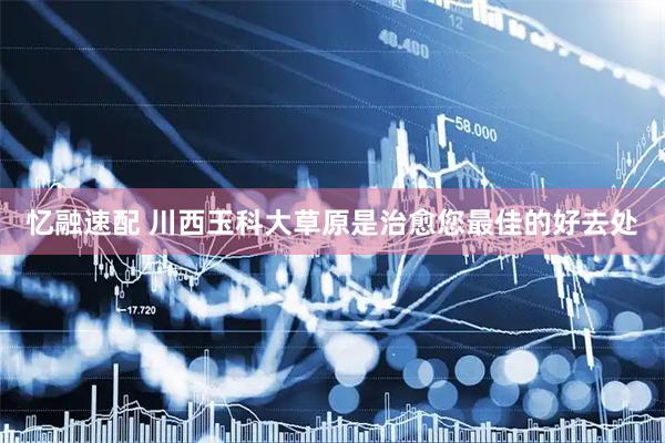 忆融速配 川西玉科大草原是治愈您最佳的好去处